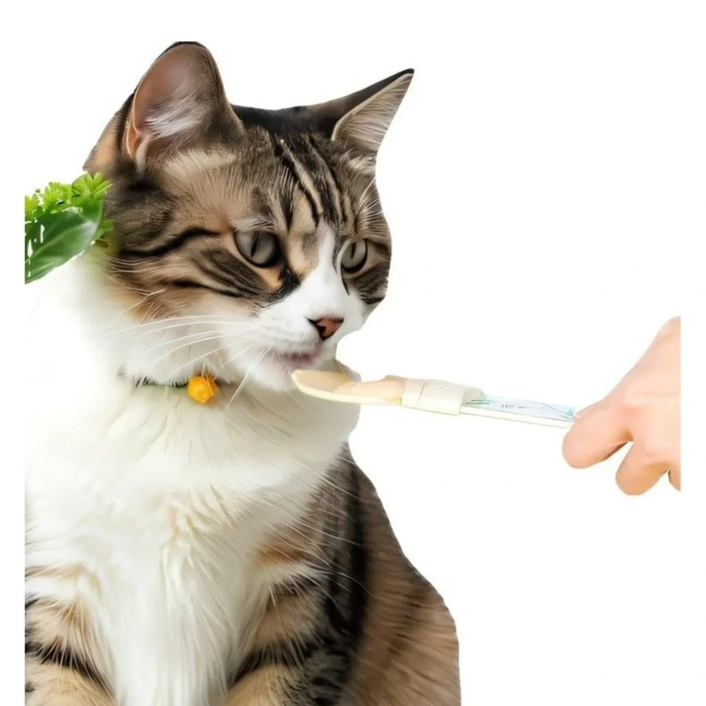 2 Pc Cat Food Spoon Strip Feeder Wet‎ Snack Ladle Plastic 11 x 3 Green & Beige